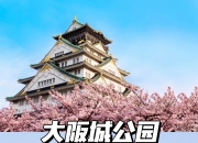 九游娱乐app-大阪樱花在亚冠中表现出色，备受瞩目的简单介绍