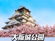 九游娱乐app-大阪樱花在亚冠中表现出色，备受瞩目的简单介绍