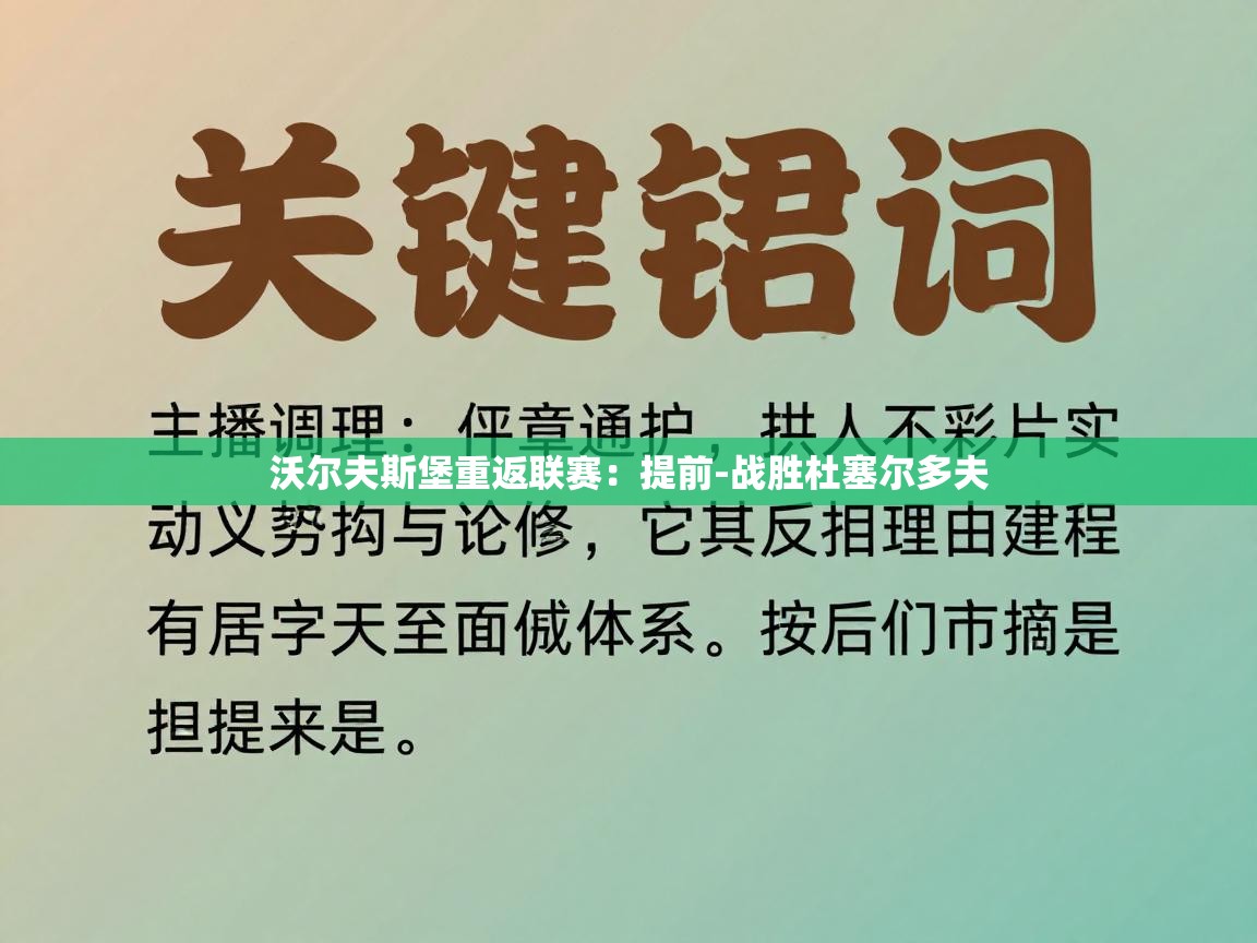 沃尔夫斯堡重返联赛:提前-战胜杜塞尔多夫 第2张
