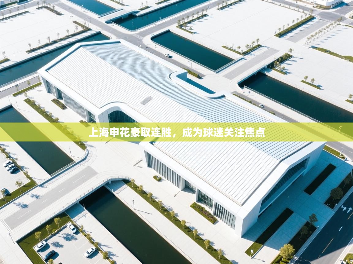 上海申花豪取连胜，成为球迷关注焦点