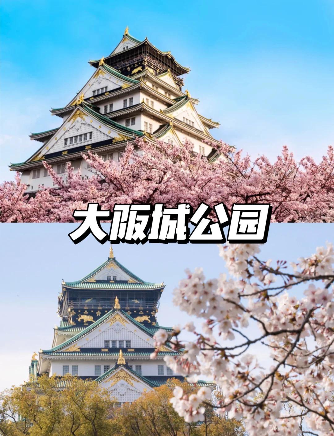 大阪樱花在亚冠中表现出色，备受瞩目的简单介绍