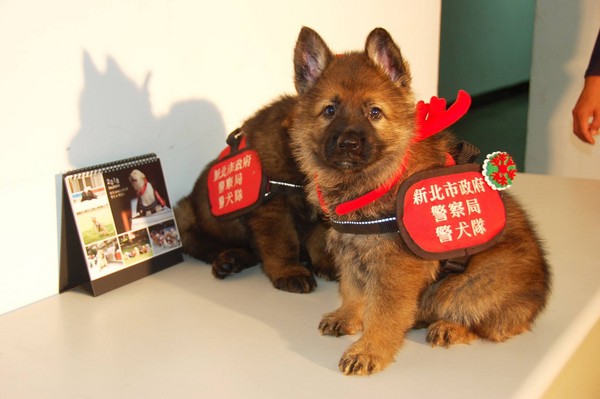 关于希腊小胜安道尔，保住小组第三宝座的信息