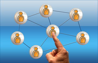 九游官网入口-印度队2024年世界杯：从经验到信心的全面提升，印度1950世界杯  第2张